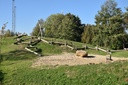 ROBINIA GESCHUURDE PALEN