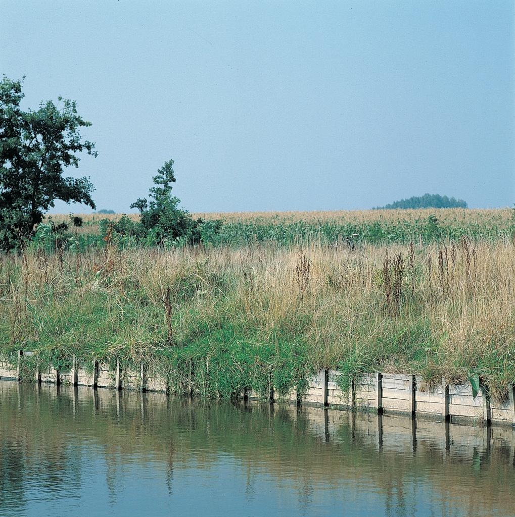 AZOBE SCHOTTEN