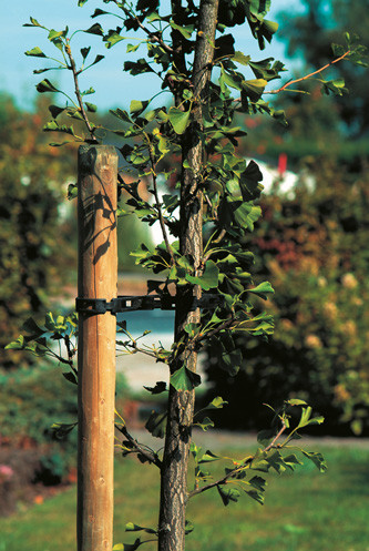 GESCHILDE PAAL 2.5M (7CM)