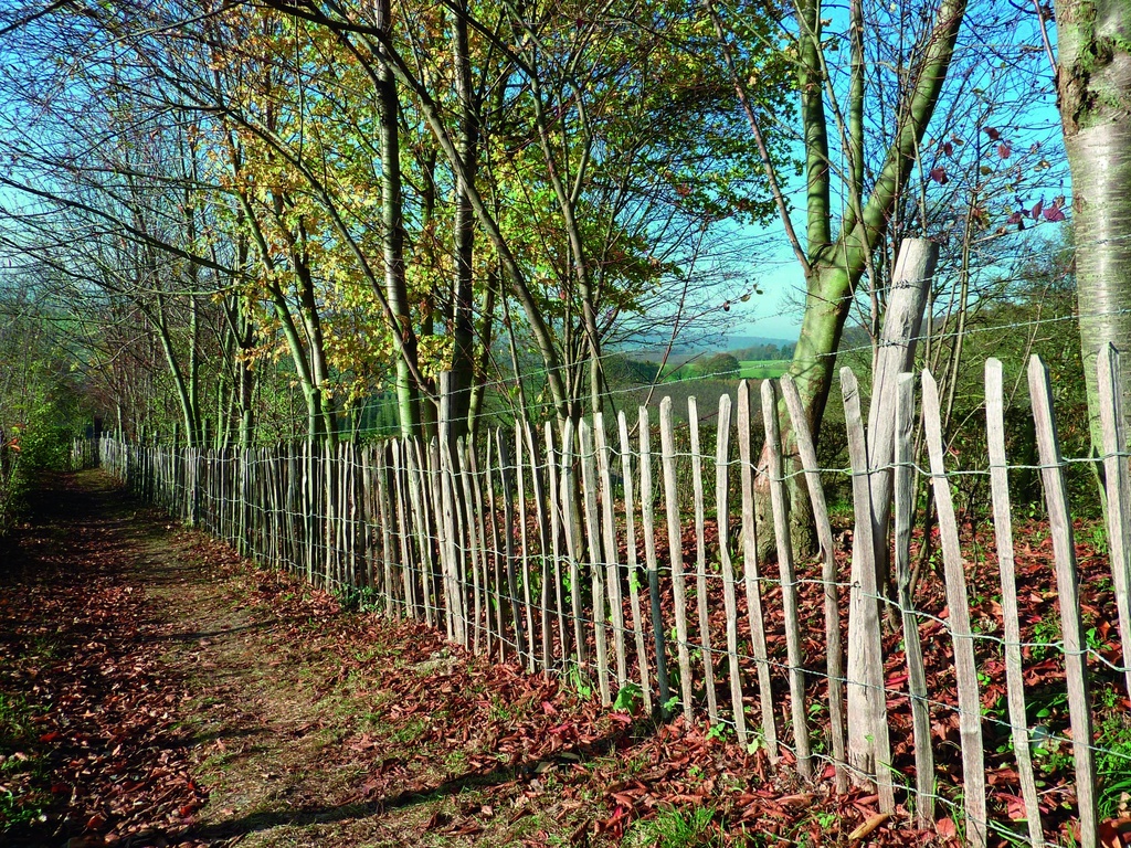 KASTANJE OMHEINING 105X500CM