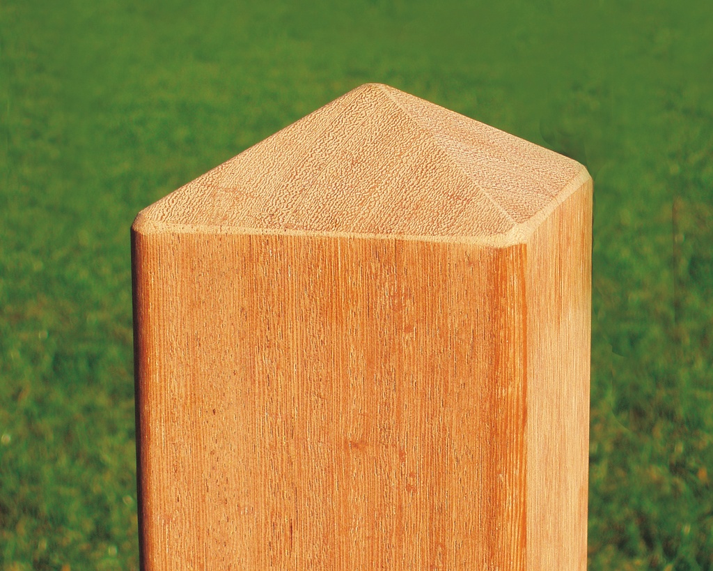 POORTPAAL AZOBE 270CM (12X12CM)