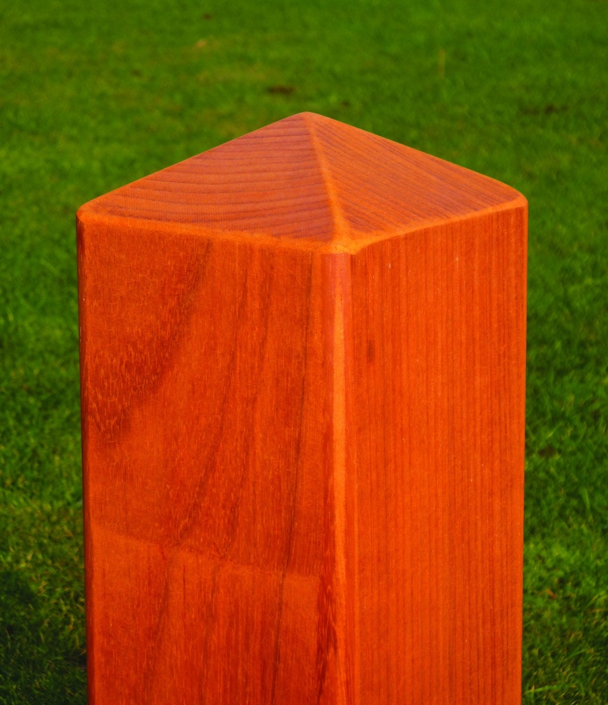 POORTPAAL PADOUK 270CM (12X12CM)