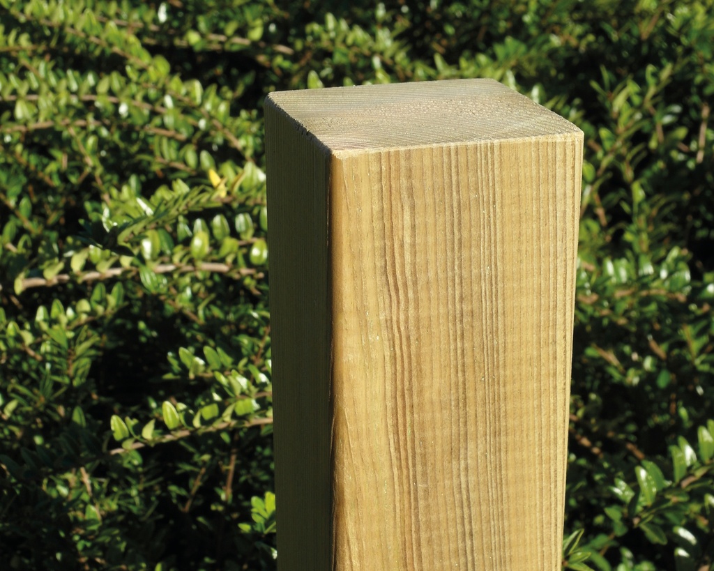 ONGEPUNTE VIERKANTPALEN RNG 290CM (9X9CM)