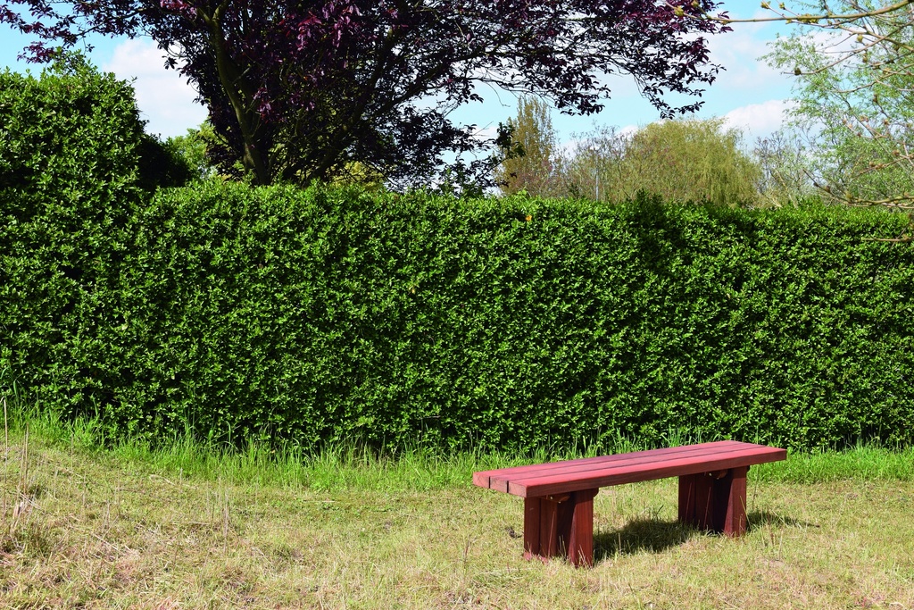 BANC BRUXELLES - A SCELLER 