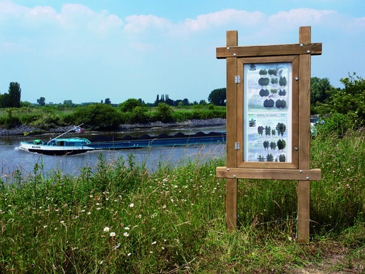 [L000*] FOREST INFORMATIEBORD ZONDER DAK 110CM