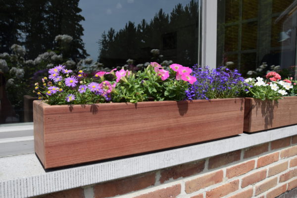 Jardinière pour Fenêtre, Jardinières en Plastique pour Légumes et